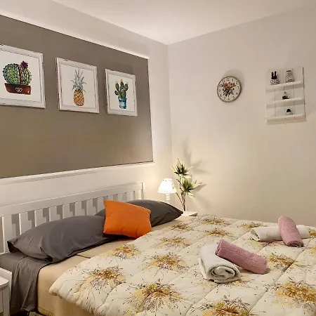 Arbium Classic Barbat na Rabu